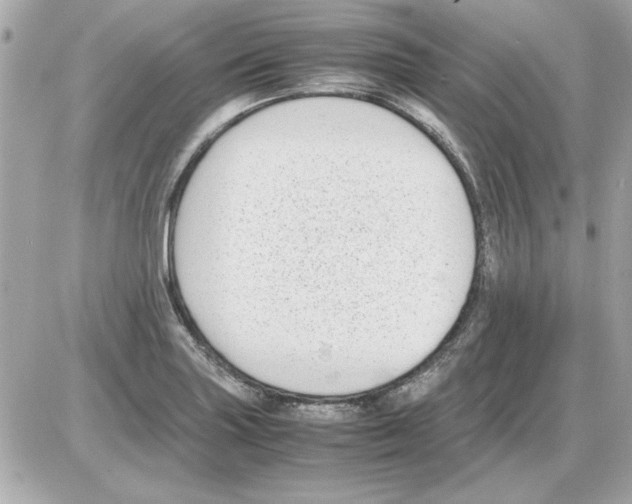 X0000085311227200704092315