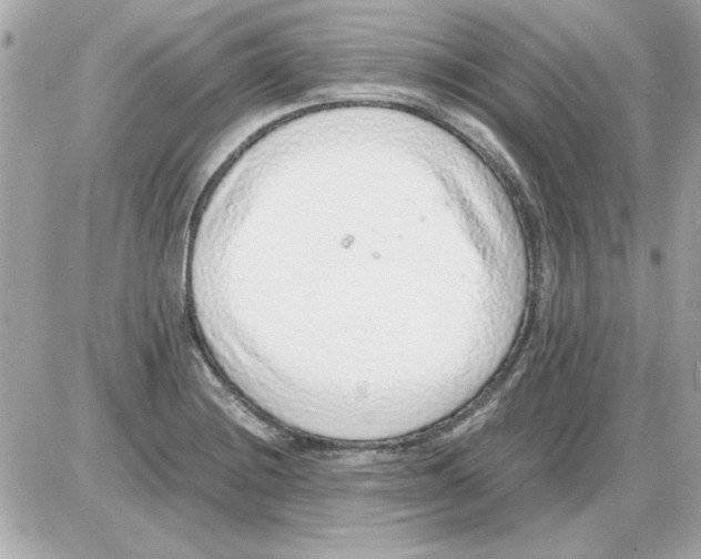 X0000085311228200704092315