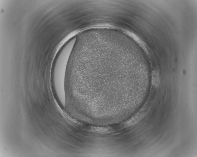 X0000085311229200704092315