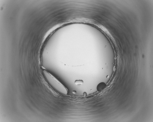 X0000085311230200704092315