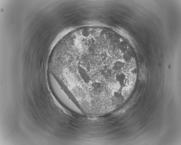 X0000085311231200704092315