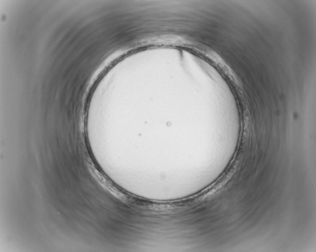 X0000085311232200704092315