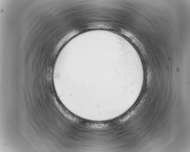 X0000085311233200704092315