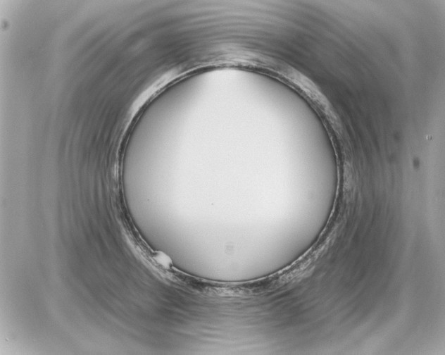 X0000085311234200704092315