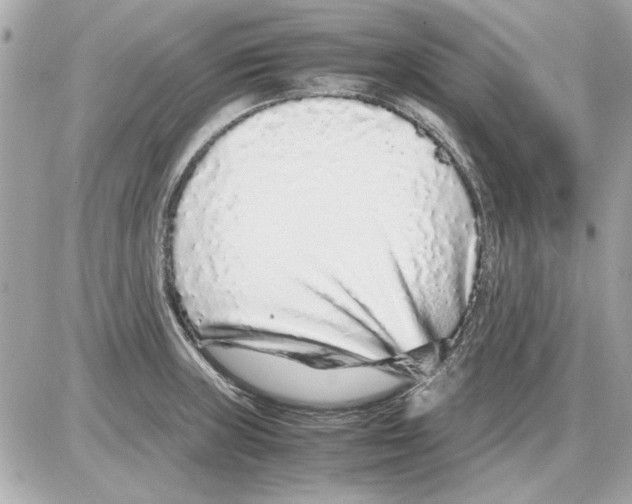 X0000085311235200704092315