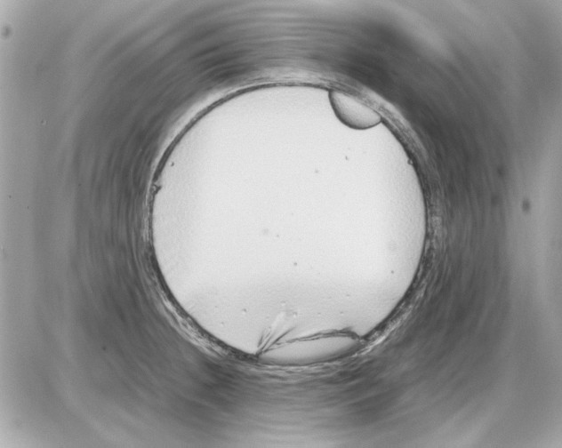 X0000085311236200704092315