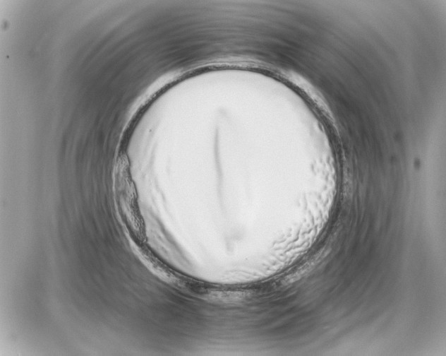 X0000085311237200704092315