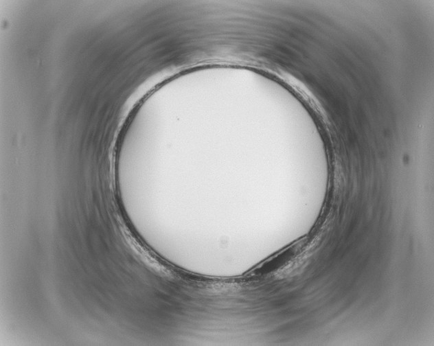 X0000085311238200704092315