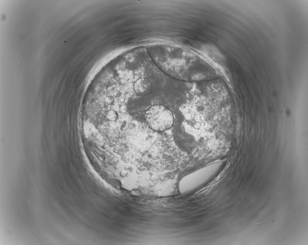 X0000085311239200704092315