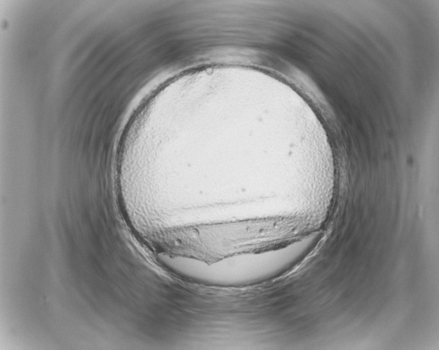 X0000085311240200704092315