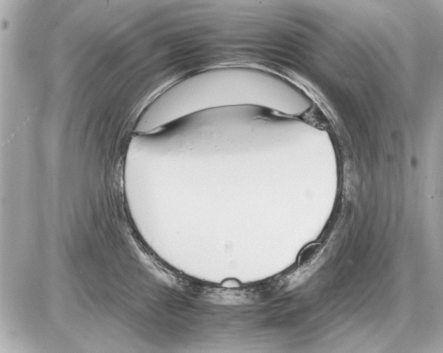 X0000085311241200704092315