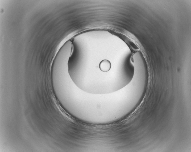 X0000085311242200704092315