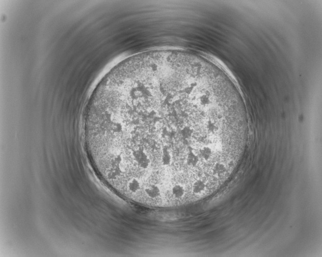 X0000085311243200704092315