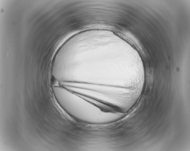 X0000085311244200704092315