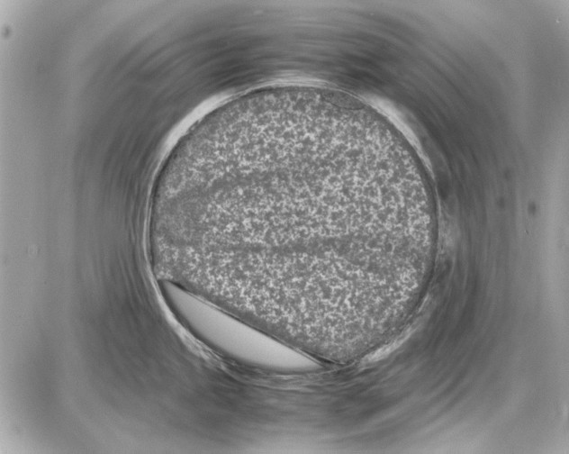 X0000085311245200704092315