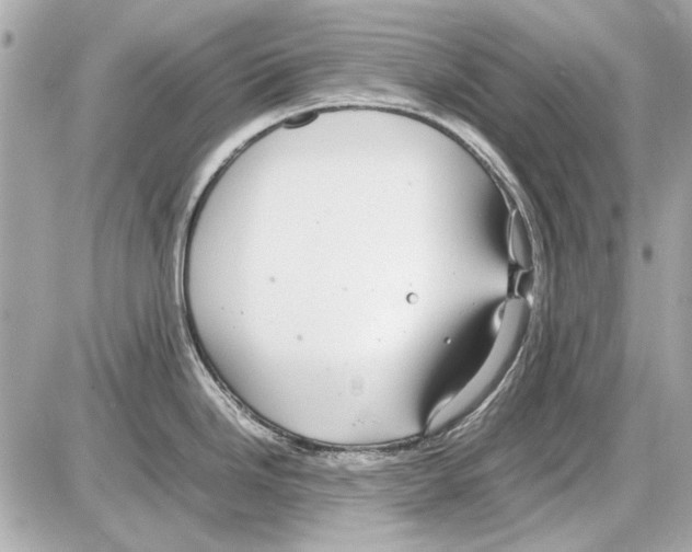 X0000085311246200704092315