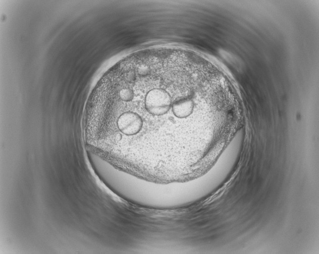 X0000085311247200704092315