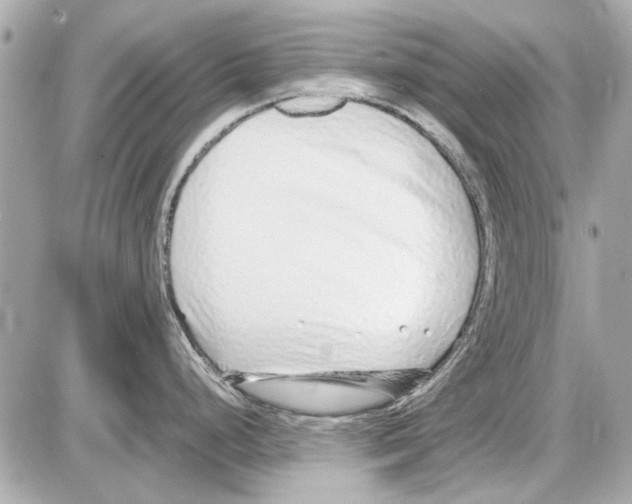 X0000085311248200704092315