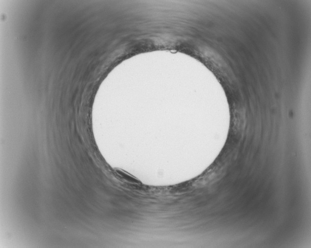 X0000085311249200704092314