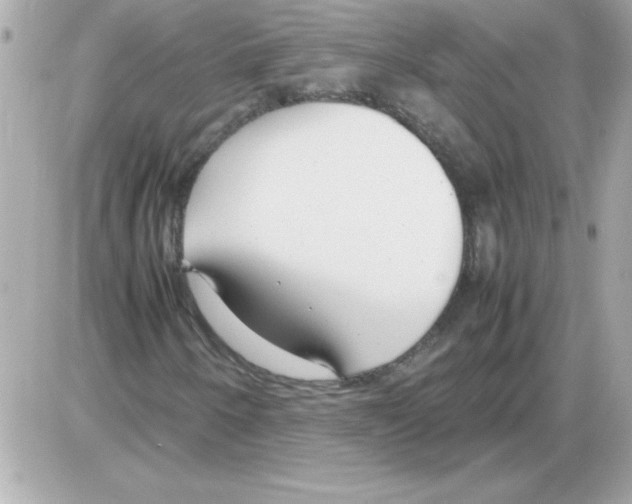 X0000085311250200704092314