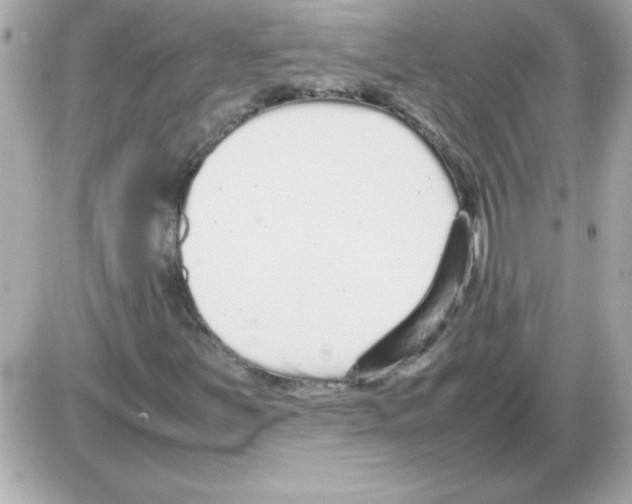 X0000085311251200704092314