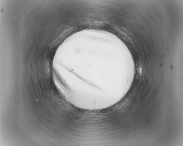 X0000085311252200704092314