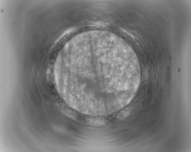 X0000085311254200704092314