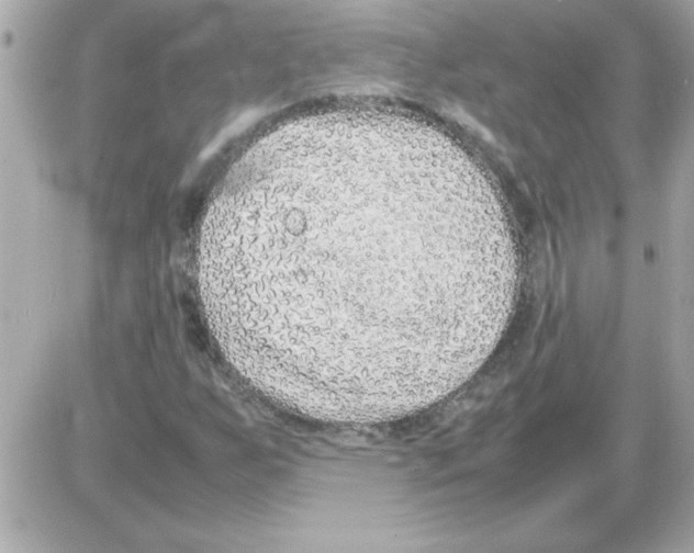 X0000085311255200704092314