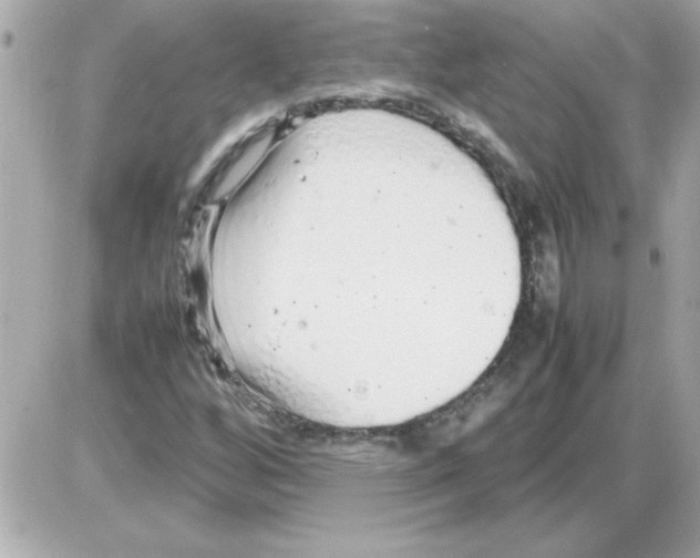 X0000085311256200704092314