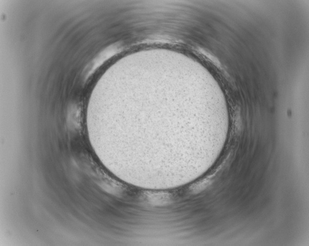 X0000085311258200704092314