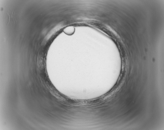 X0000085311259200704092314