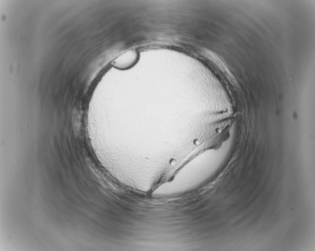 X0000085311260200704092314