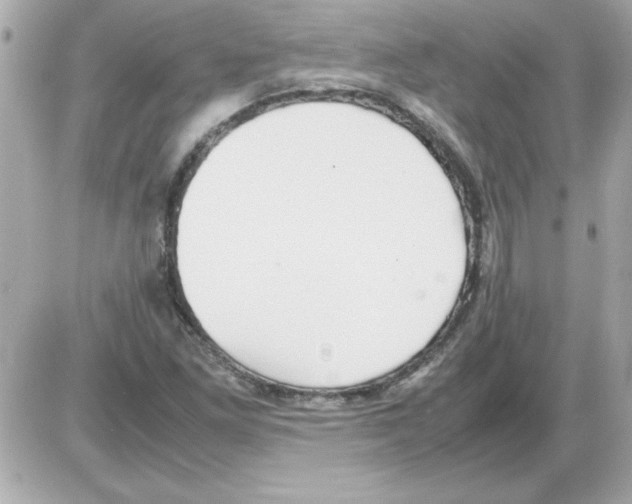 X0000085311261200704092314