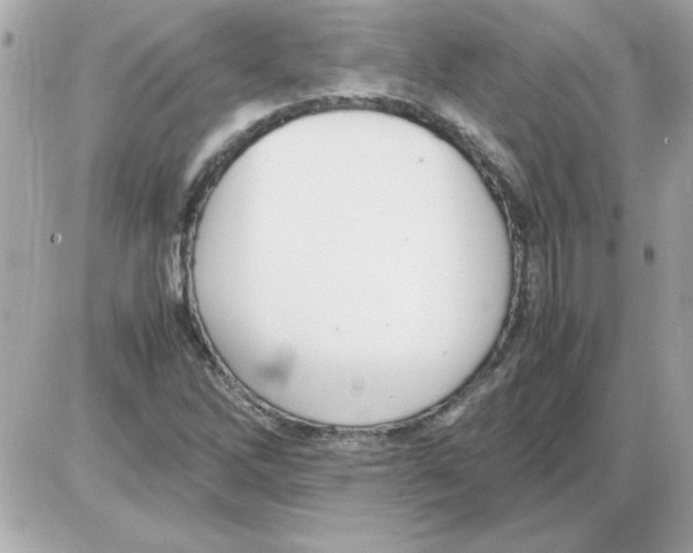 X0000085311262200704092314