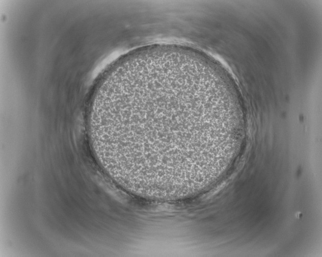 X0000085311263200704092314