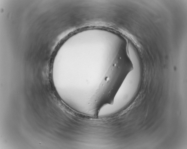 X0000085311264200704092314