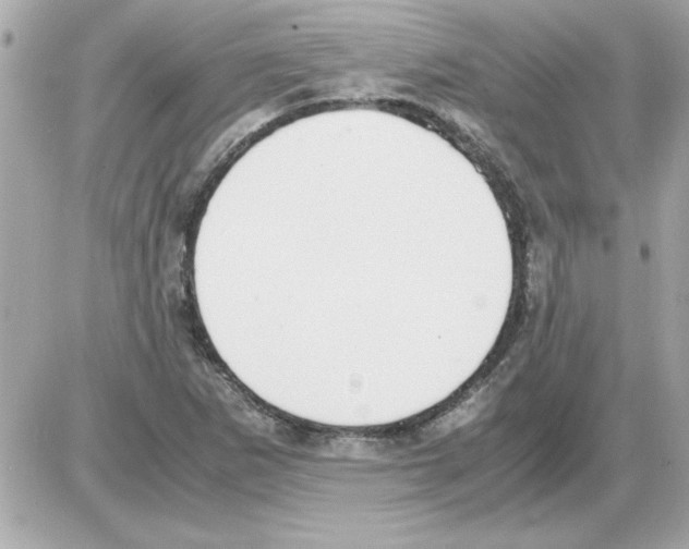 X0000085311265200704092314