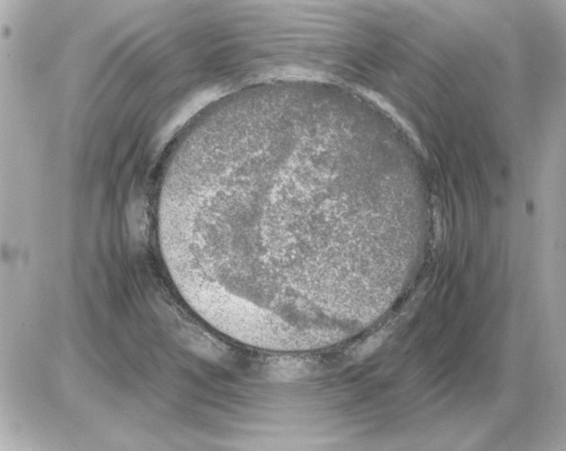 X0000085311266200704092314