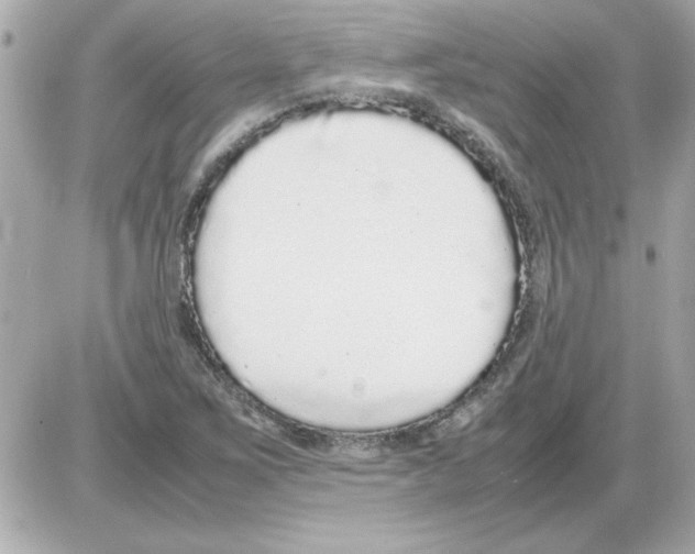 X0000085311267200704092314