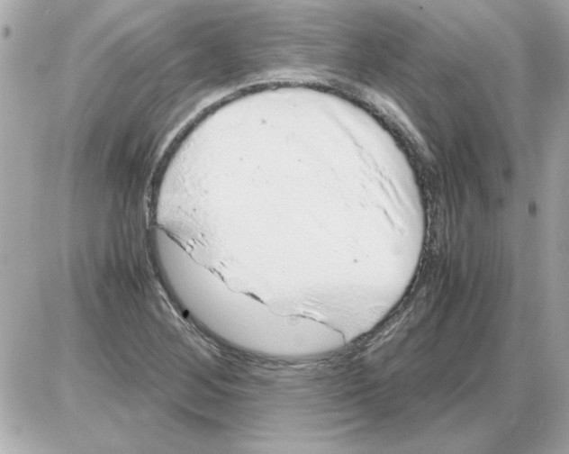 X0000085311268200704092314