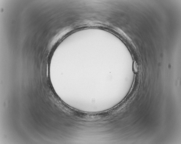 X0000085311269200704092314