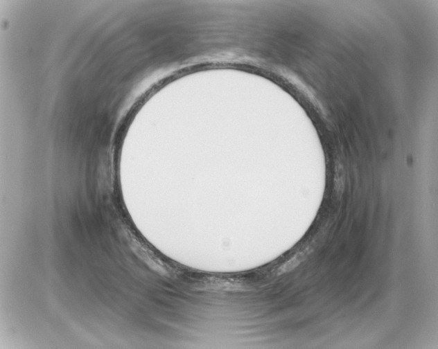 X0000085311270200704092314