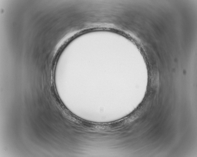 X0000085311271200704092314