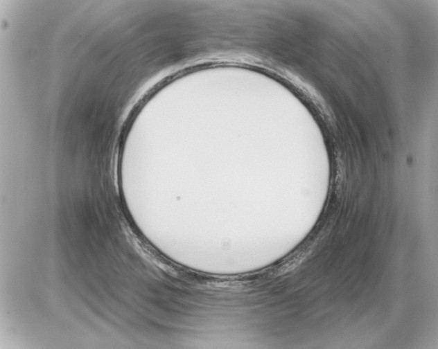 X0000085311272200704092314