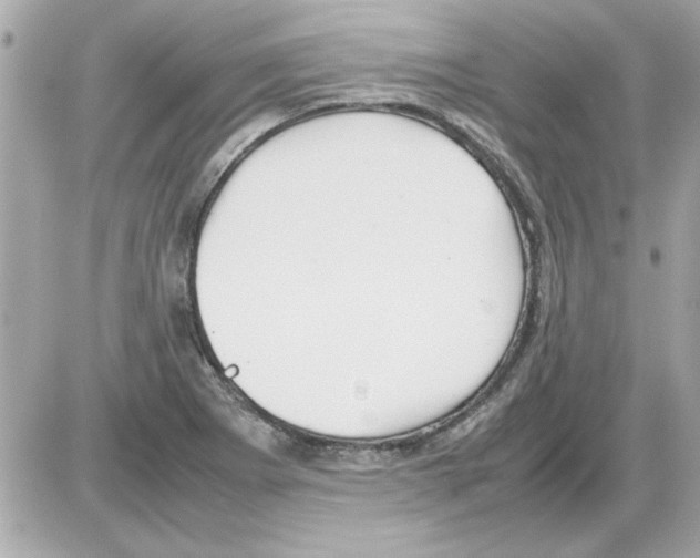 X0000085311273200704092314