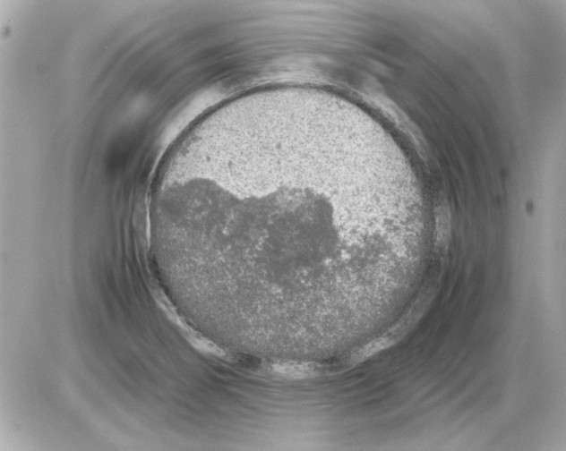 X0000085311274200704092314