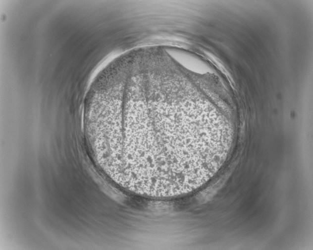 X0000085311275200704092314