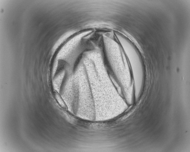 X0000085311277200704092314