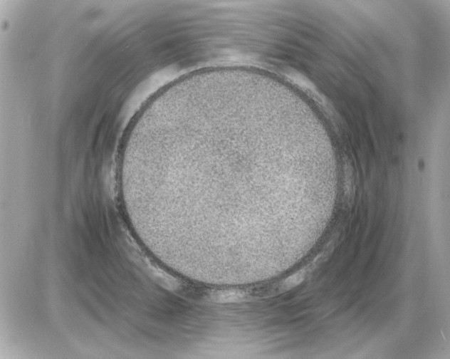 X0000085311278200704092314