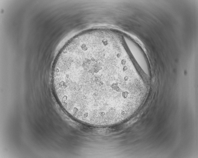 X0000085311279200704092314